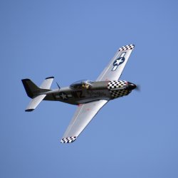 RDMFC Open Weekend 02.08.2025